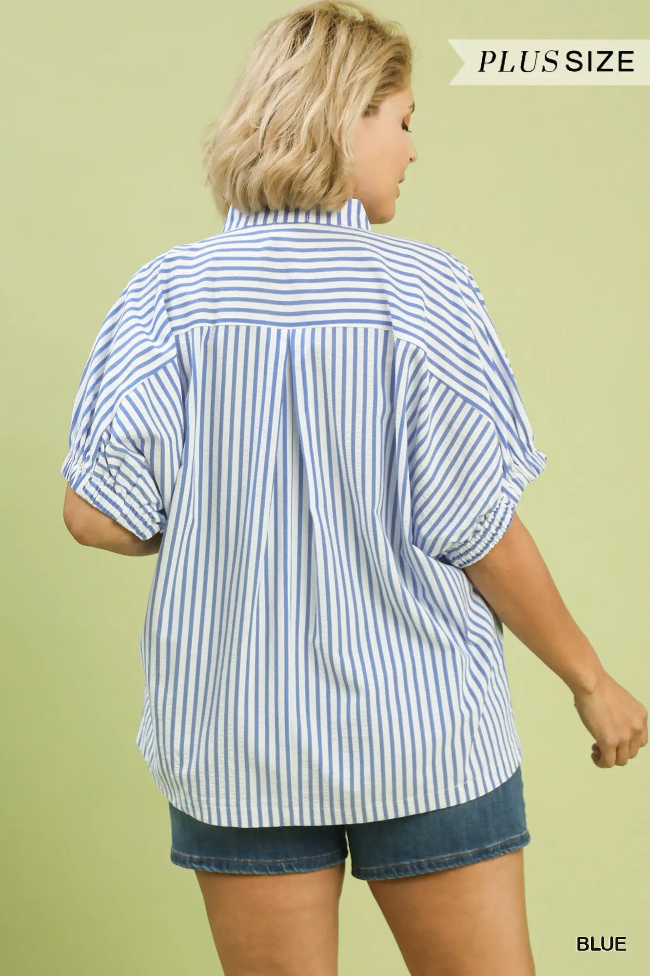 The Livy Blue Stripe Lace Trim Pleated V-Neck Top